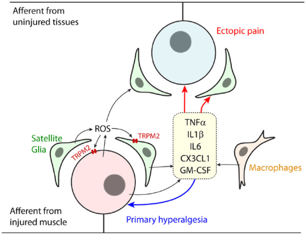 Figure 2.