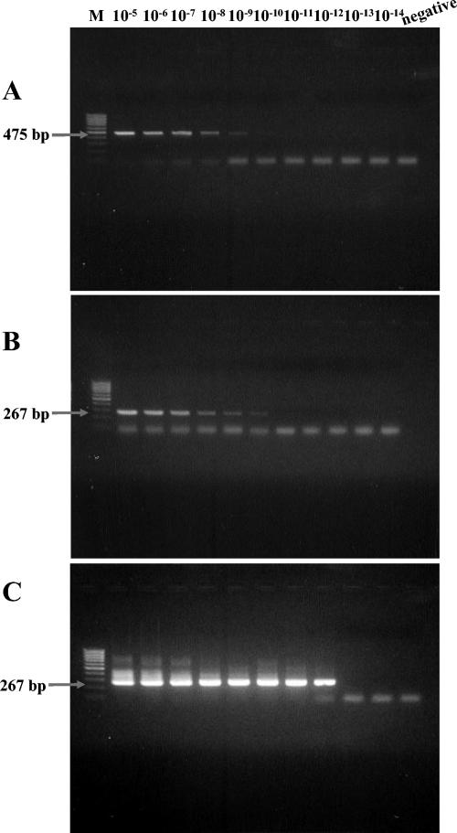 FIG. 1.