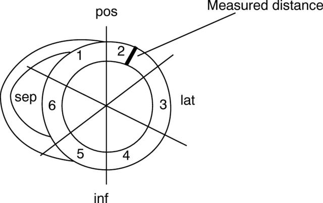 Figure 1  