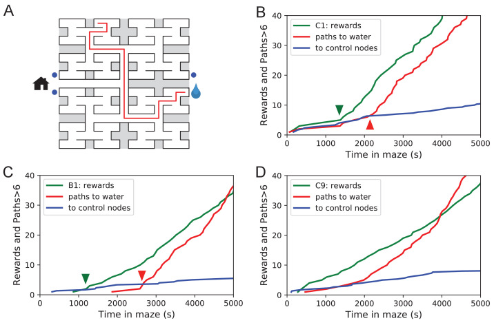 Figure 5.