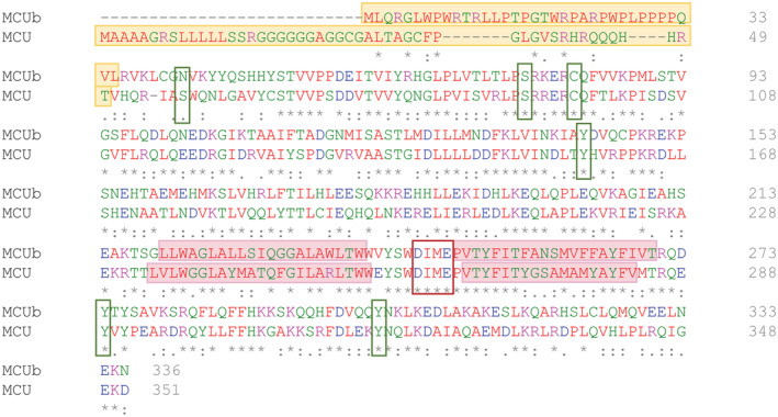 FIGURE 1