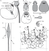 Fig. 2.