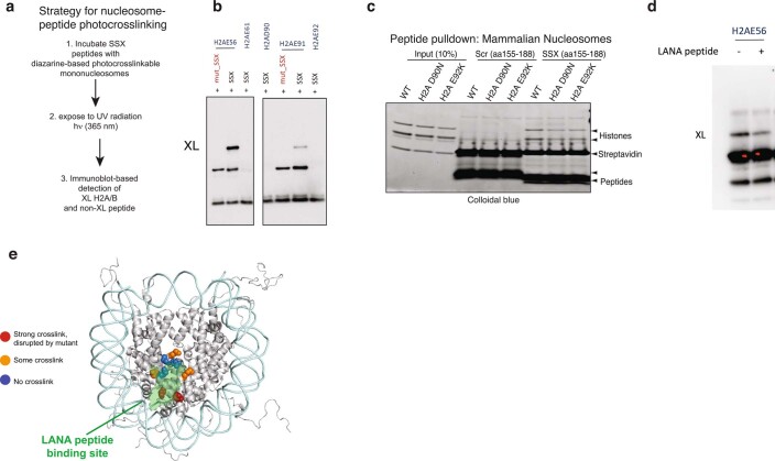 Extended Data Fig. 5