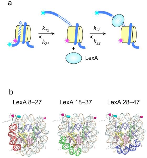 Fig. 1