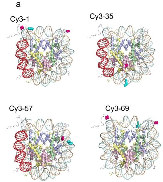 Fig. 3