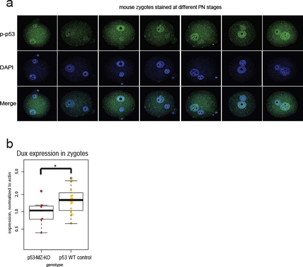 Extended Data Figure 4: