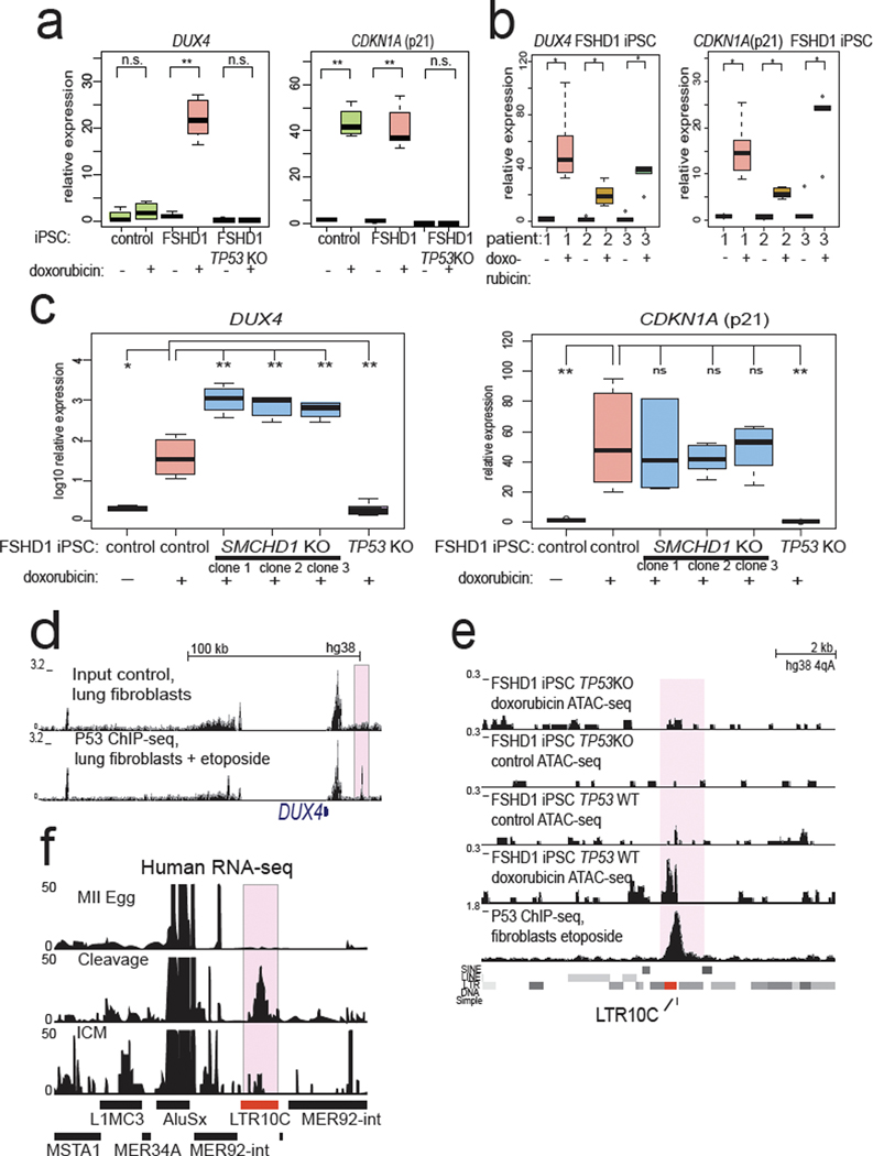 Fig. 6: