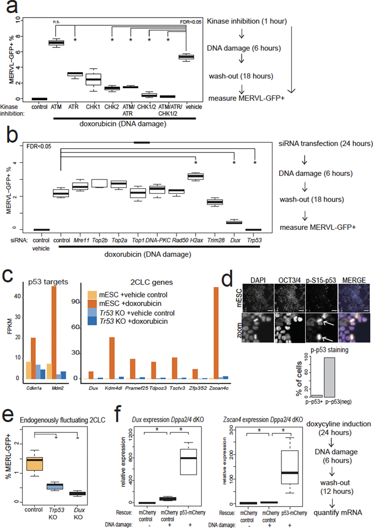 Fig. 2: