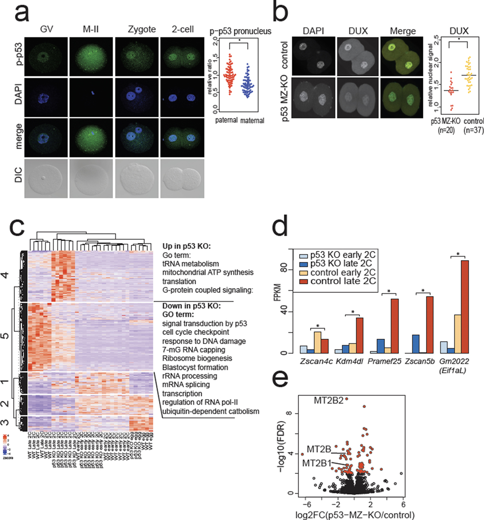 Fig. 4: