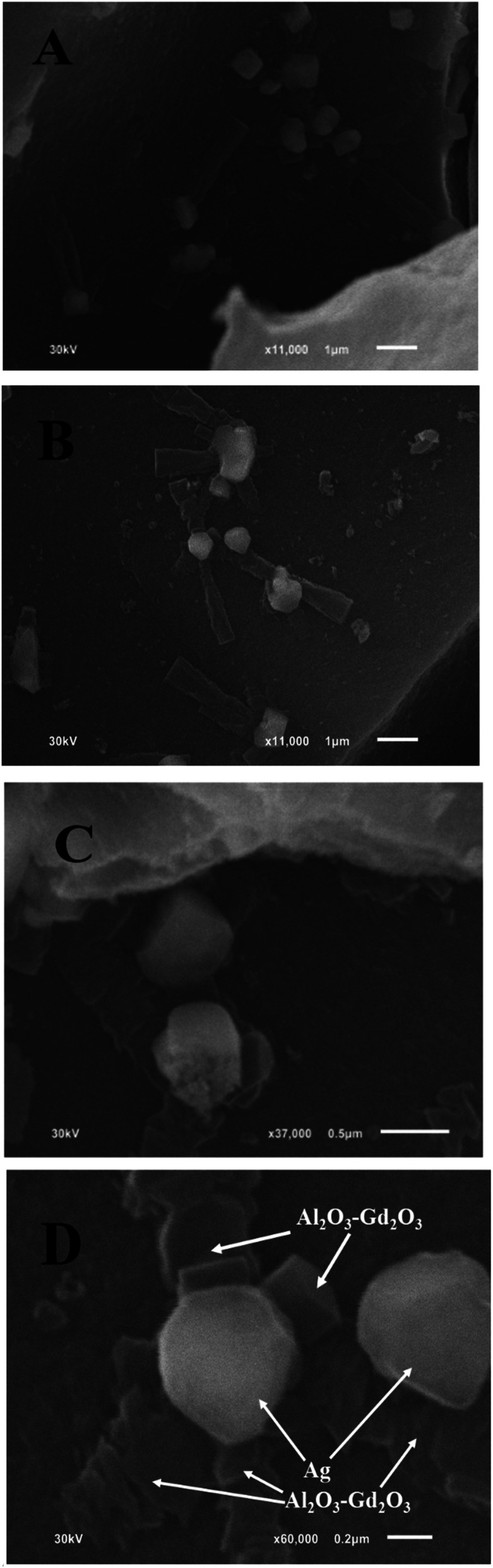 Fig. 5