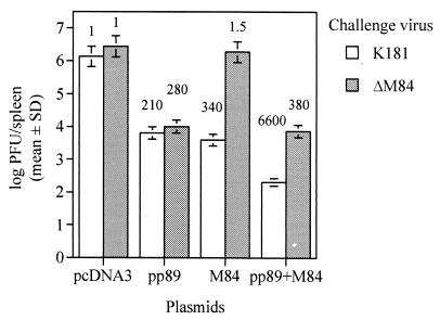 FIG. 6