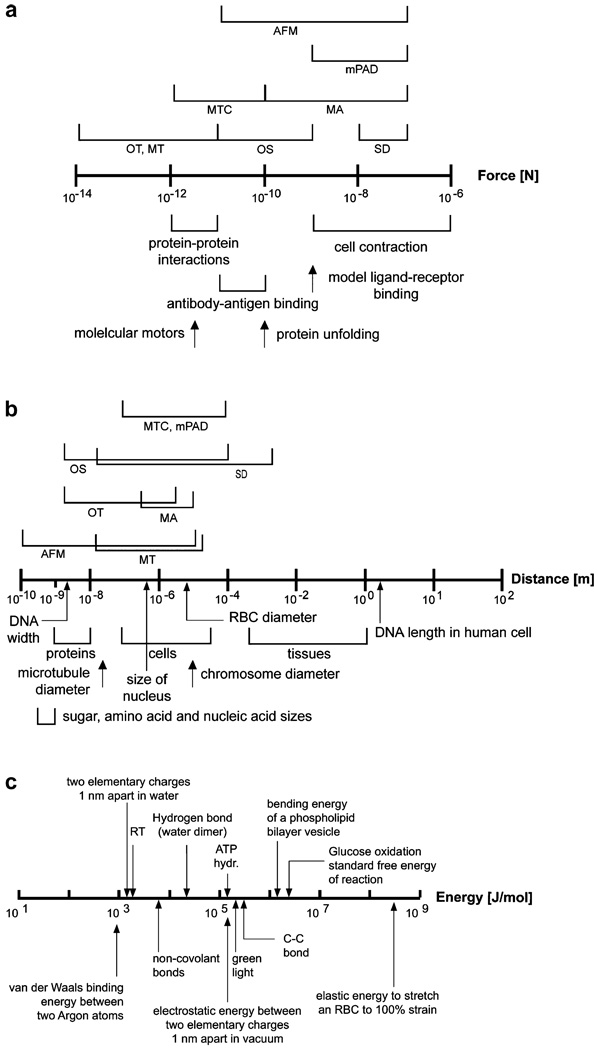 Fig. 11