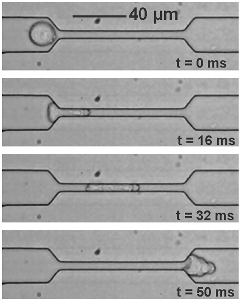 Fig. 14