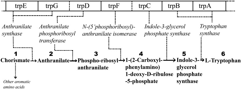 Fig. 2