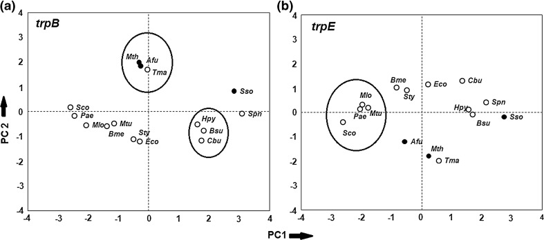 Fig. 8