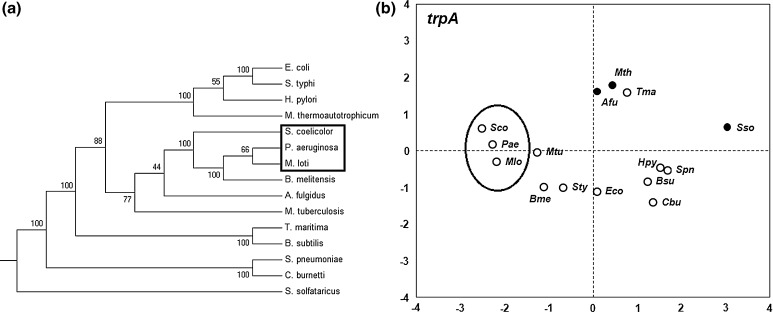 Fig. 9