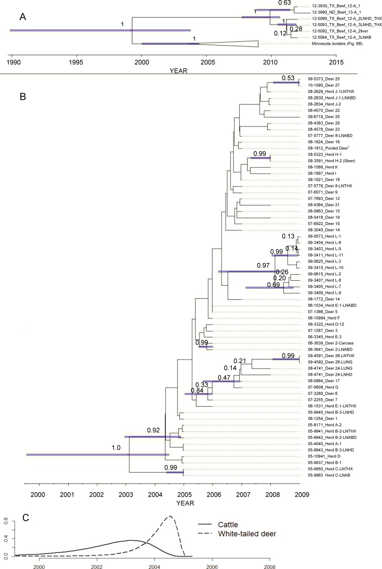 Fig 5