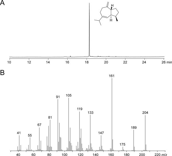 Fig. 8