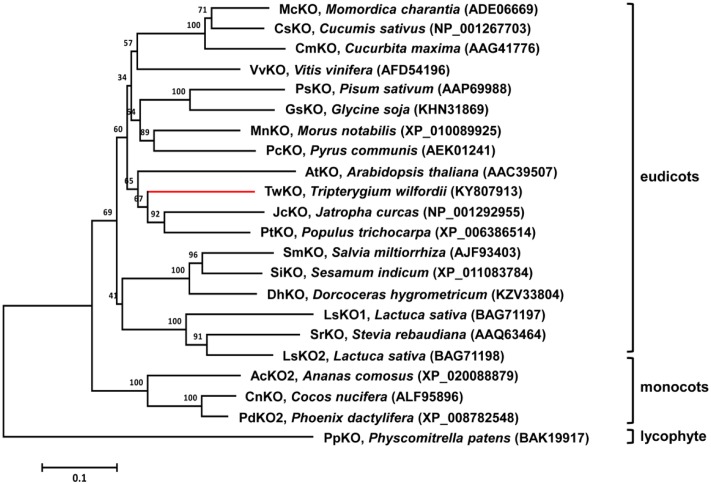 FIGURE 2