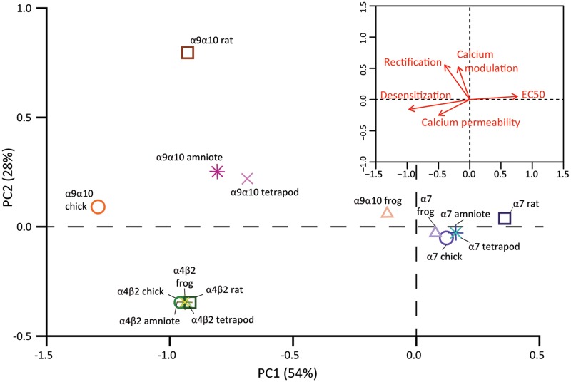 FIg. 9.