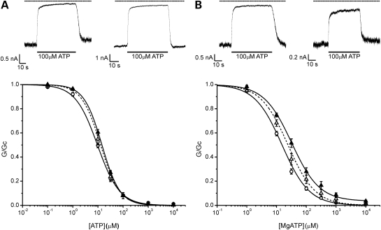 Figure 2.