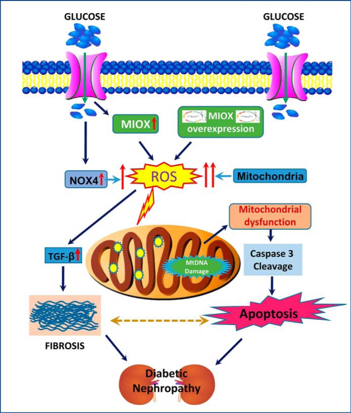 FIGURE 10.