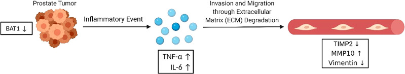 Figure 6