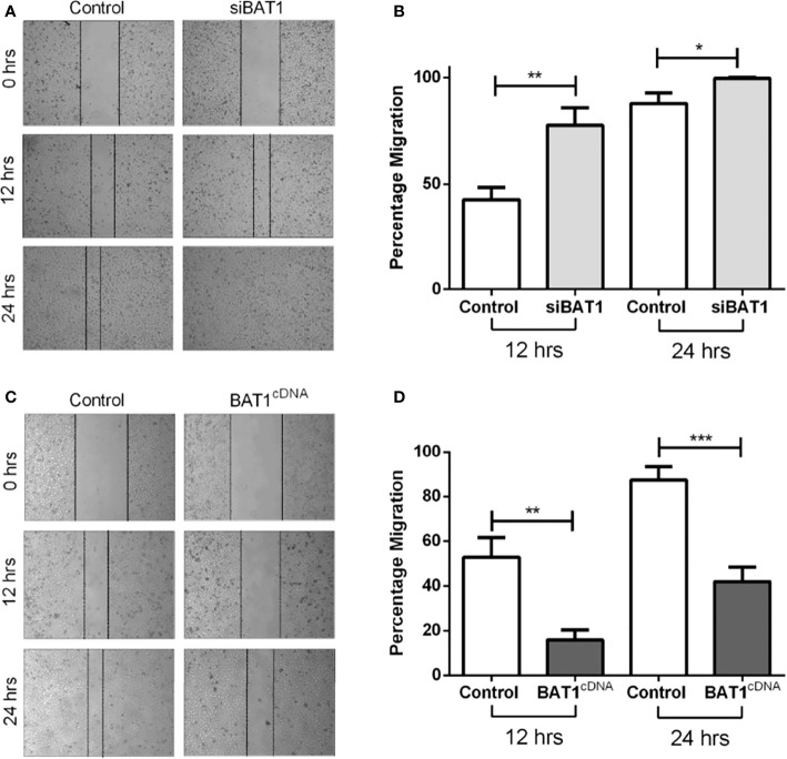 Figure 2