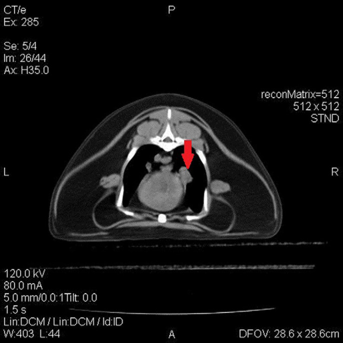 Fig 1