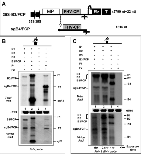 FIG. 6.