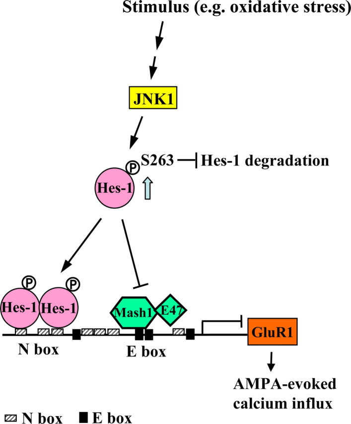 Figure 14.