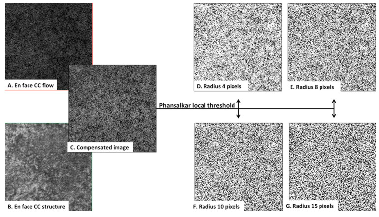 Figure 6