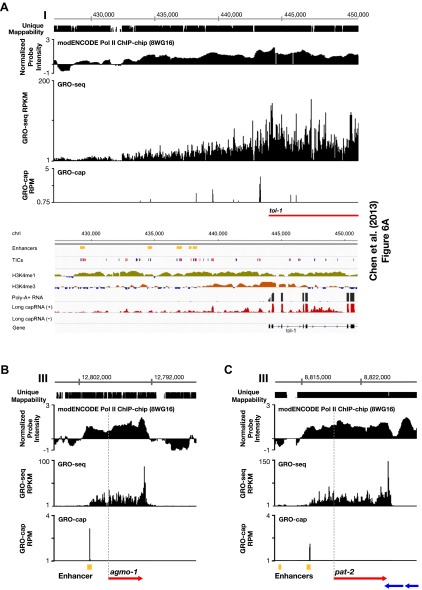 Figure 1—figure supplement 12.