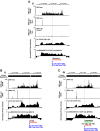 Figure 1—figure supplement 8.