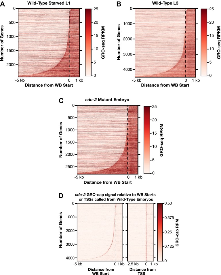Figure 1—figure supplement 7.
