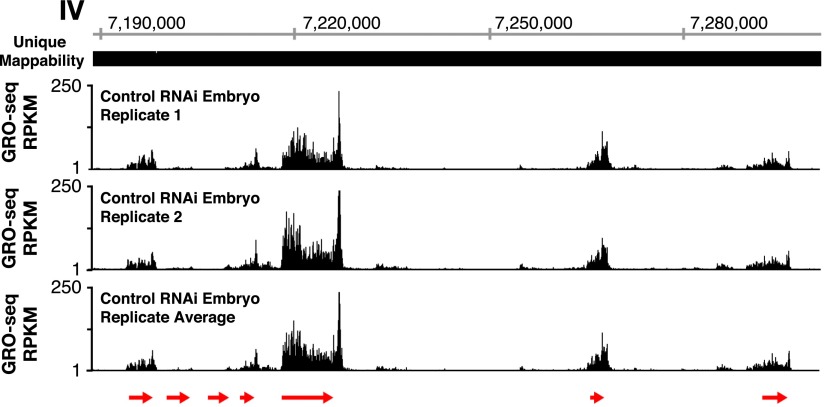 Figure 1—figure supplement 1.