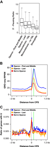 Figure 4—figure supplement 2.