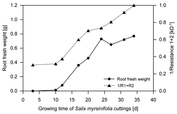 FIGURE 4