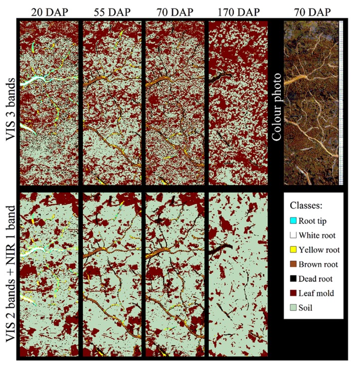 FIGURE 3