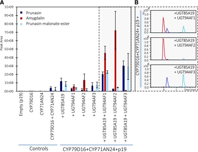 Figure 2.