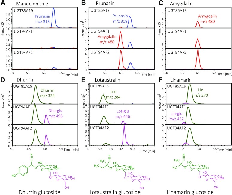 Figure 4.