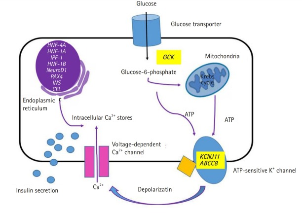 Fig. 2.