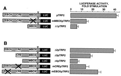 FIG. 4