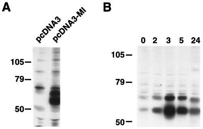 FIG. 7