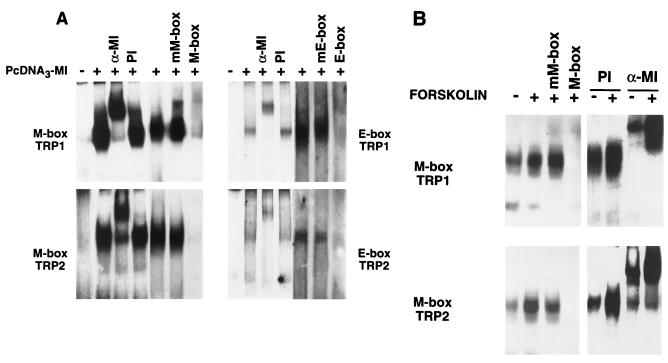 FIG. 6