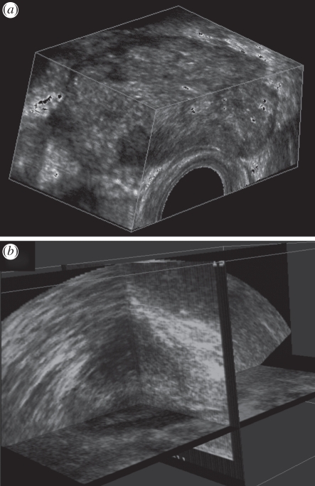 Figure 4.