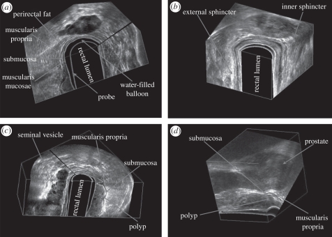 Figure 5.