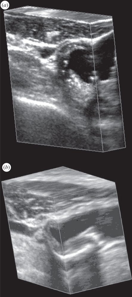 Figure 2.