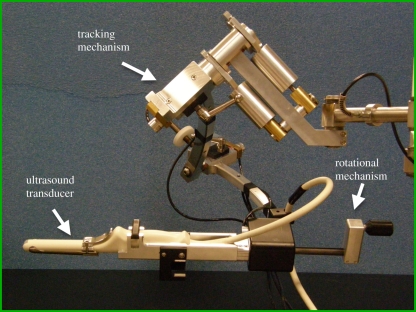 Figure 10.