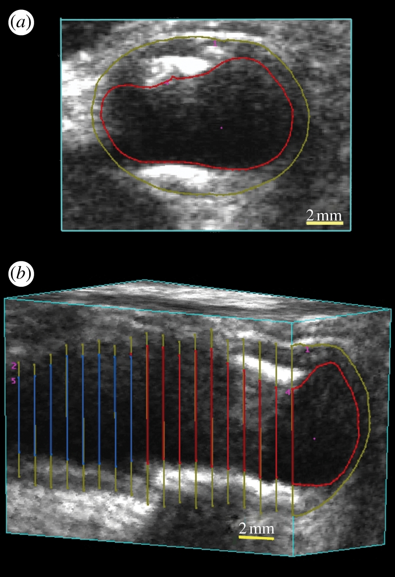 Figure 9.